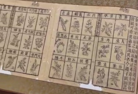 《本草備要》全圖-中英古籍善本研究院(庫巴)