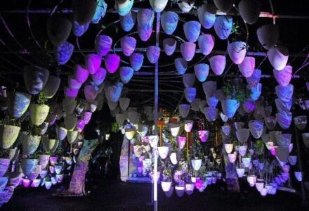 玉， 石之美者-中英古籍善本研究院（庫巴）