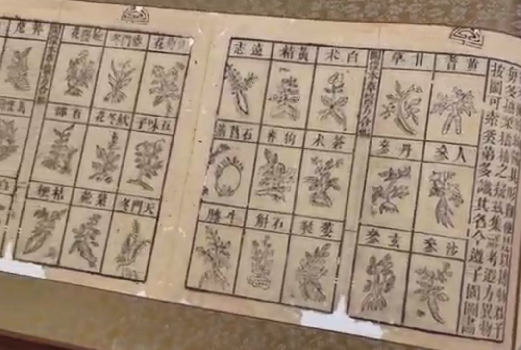 《本草備要》全圖-中英古籍善本研究院（庫巴）